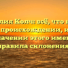 Фамилия Колч: всё, что нужно знать о происхождении, истории и значении этого имени + правила склонения!
