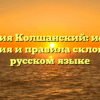 Фамилия Колшанский: история, значения и правила склонения в русском языке