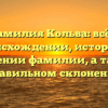 Фамилия Кольва: всё о происхождении, истории и значении фамилии, а также правильном склонении