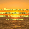 Фамилия Копосов: все, что нужно знать о происхождении, истории и значении, а также правильном склонении