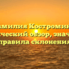 Фамилия Костромина: исторический обзор, значения и правила склонения