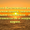 Фамилия Котелевская: история происхождения, значение и правильное склонение – полный гид для генеалогов и ищущих свои корни