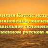 Фамилия Котик: история возникновения, значения и правильное склонение в современном русском языке