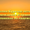 Фамилия Курачев: история, происхождение и правильное склонение по падежам