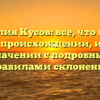 Фамилия Кусов: все, что нужно знать о происхождении, истории и значении с подробными правилами склонения