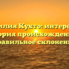 Фамилия Кухто: интересная история происхождения и правильное склонение