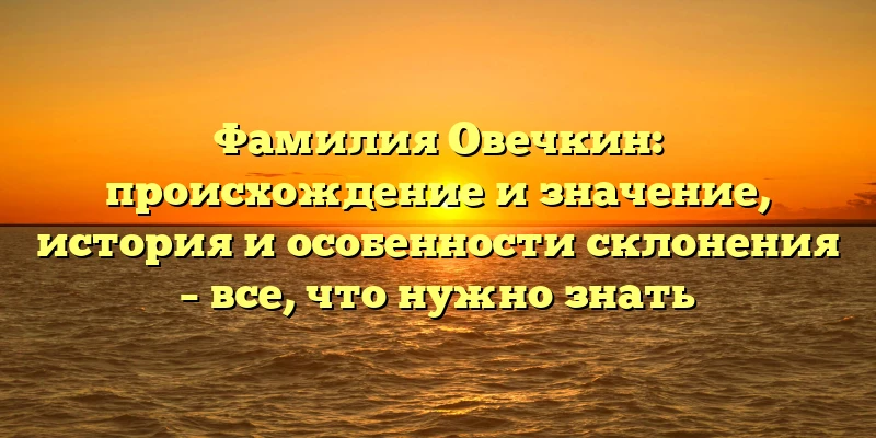 Фамилия Овечкин: происхождение и значение, история и особенности склонения – все, что нужно знать Фамилия Овечкин: происхождение и значение, история и особенности склонения – все, что нужно знать