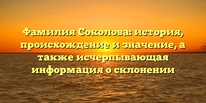 Фамилия Соколова: история, происхождение и значение, а также исчерпывающая информация о склонении