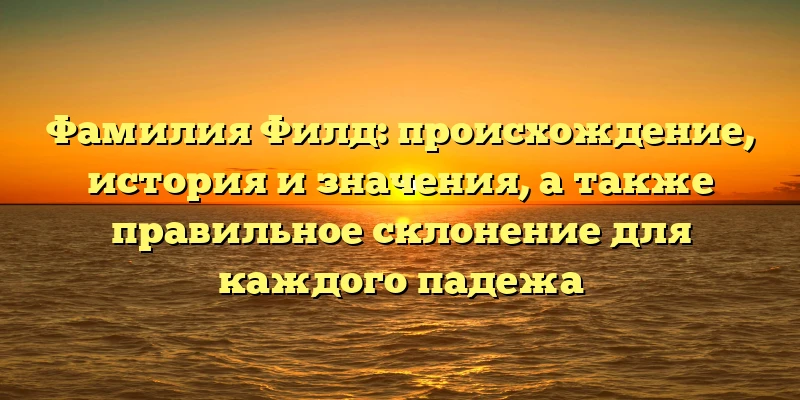 Фамилия Филд: происхождение, история и значения, а также правильное склонение для каждого падежа Фамилия Филд: происхождение, история и значения, а также правильное склонение для каждого падежа