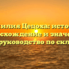 Фамилия Цецоха: история, происхождение и значения, полное руководство по склонению