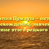 Фамилия Цумбуш — история происхождения, значение и склонение этого редкого имени