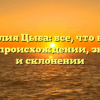 Фамилия Цыба: все, что нужно знать о происхождении, значении и склонении