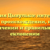 Фамилия Цыбулько: интересные факты о происхождении, истории, значении и правильном склонении