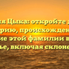 Фамилия Цыка: откройте для себя историю, происхождение и значение этой фамилии в нашей статье, включая склонение!