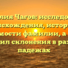 Фамилия Чагов: исследование происхождения, истории и значимости фамилии, а также правил склонения в разных падежах