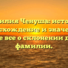 Фамилия Ченуша: история, происхождение и значение – узнайте все о склонении данного фамилии.