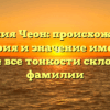 Фамилия Чеон: происхождение, история и значение имени, а также все тонкости склонения фамилии