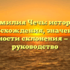 Фамилия Чечь: история происхождения, значение и особенности склонения — полное руководство