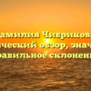 Фамилия Чибрикова: исторический обзор, значение и правильное склонение