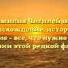 Фамилия Чигилейчик: происхождение, история и значение – все, что нужно знать о склонении этой редкой фамилии