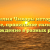 Фамилия Чихарь: история и значение, правильное склонение и происхождение в разных регионах
