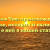 Фамилия Чоб: происхождение и значение, история и склонение — все о ней в нашей статье.