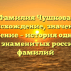 Фамилия Чушкова: происхождение, значение и склонение – история одной из самых знаменитых российских фамилий