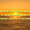 Чепурный: происхождение, история и значения фамилии. Все, что нужно знать о склонении!