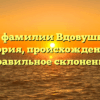 Все о фамилии Вдовушкина: история, происхождение и правильное склонение