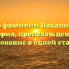 Все о фамилии Накашидзе: история, происхождение и склонение в одной статье