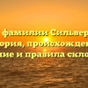 Все о фамилии Сильверман: история, происхождение, значение и правила склонения