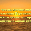 Все, что вы хотели знать о фамилии Тургенева: происхождение, история и склонение в одной статье