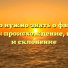 Все, что нужно знать о фамилии Кобзарь: происхождение, история и склонение