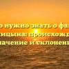 Все, что нужно знать о фамилии Солоницына: происхождение, значение и склонение