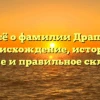 Всё о фамилии Драпп: происхождение, история, значение и правильное склонение.