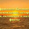 Всё о фамилии Котеняткина: происхождение, история и значение, склонение и интересные факты