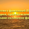 Знакомство с фамилией Потемин: история, происхождение и правильное склонение фамилии