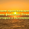 Изучаем происхождение и значение фамилии Пташкина: история и склонение.