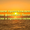 Изучаем происхождение и историю фамилии Литовских: значение и правила склонения!