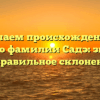 Изучаем происхождение и историю фамилии Садэ: значение и правильное склонение