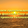 Изучаем происхождение и историю фамилии Сану: значение и правила склонения