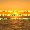 Изучаем происхождение и историю фамилии Стех: значение и правильное склонение.