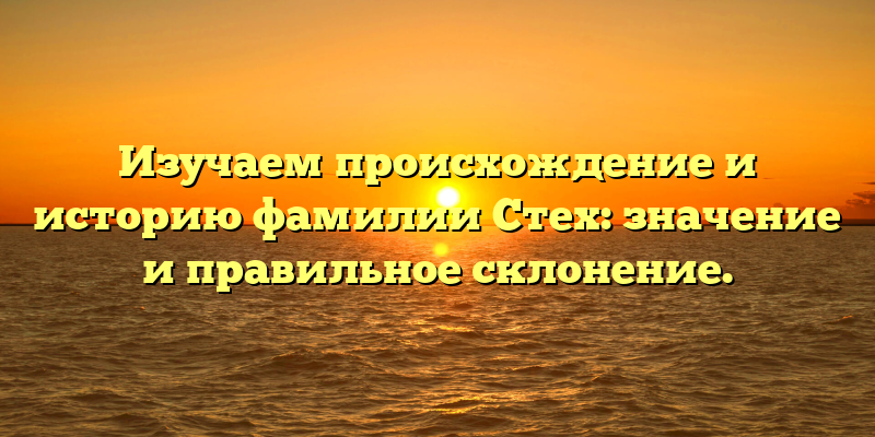 Изучаем происхождение и историю фамилии Стех: значение и правильное склонение.