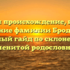 Изучаем происхождение, историю и значение фамилии Бродовский: полный гайд по склонению именитой родословной