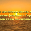 Изучаем происхождение, историю и значение фамилии Горюшко: полный гайд по склонению.