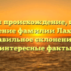 Изучаем происхождение, историю и значение фамилии Лахтадыр: правильное склонение и интересные факты