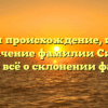 Изучаем происхождение, историю и значение фамилии Ситки: узнайте всё о склонении фамилии