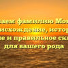 Изучаем фамилию Монкус: происхождение, история, значение и правильное склонение для вашего рода