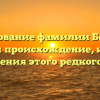 Исследование фамилии Боциевы: изучаем происхождение, историю и склонения этого редкого имени