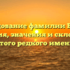 Исследование фамилии Вигард: история, значения и склонение этого редкого имени